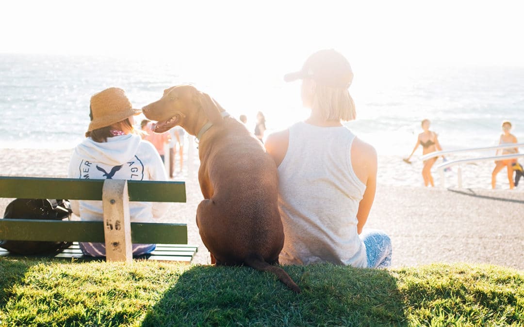 Unlimited PTO: Pros & Cons of Unlimited Vacation Benefits