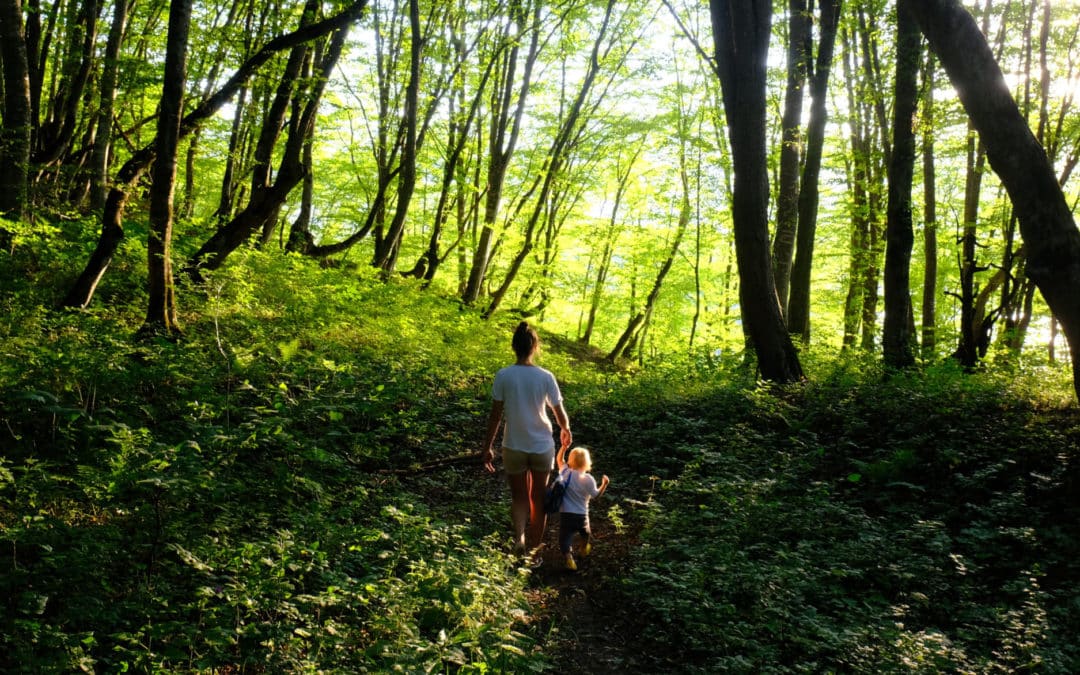 PlanSource Summer Product Release