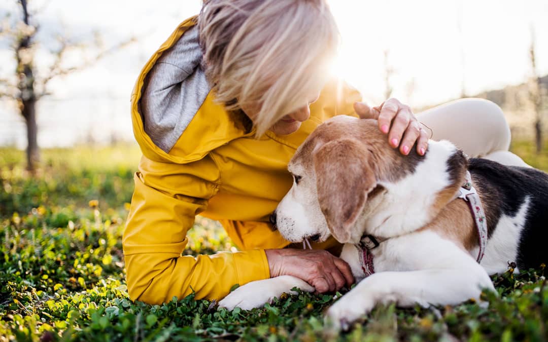 Caring for Our Companions: Pet Wellness Month Spotlight