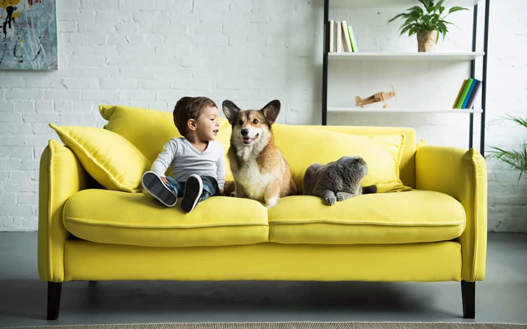 Employees, Benefits and Lost Pet Prevention Month